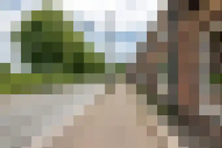 Rijksstraatweg 9 Culemborg thumbnail 4