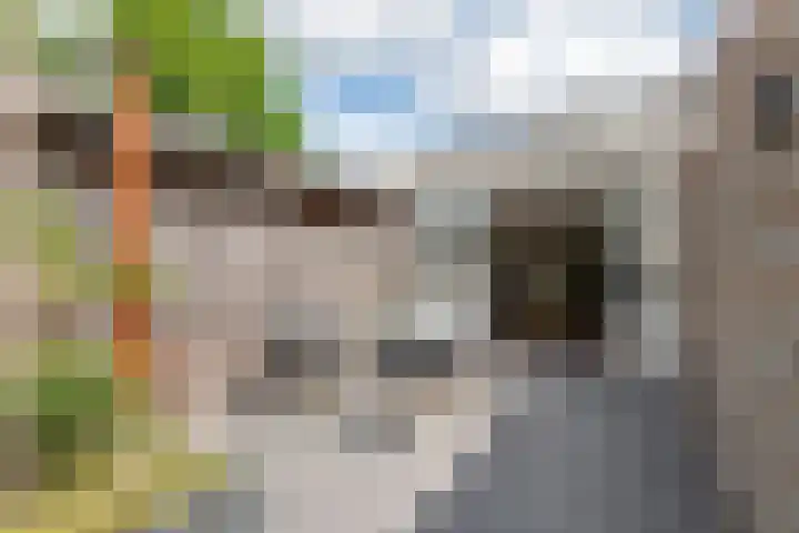 Rijksstraatweg 9 Culemborg thumbnail 7