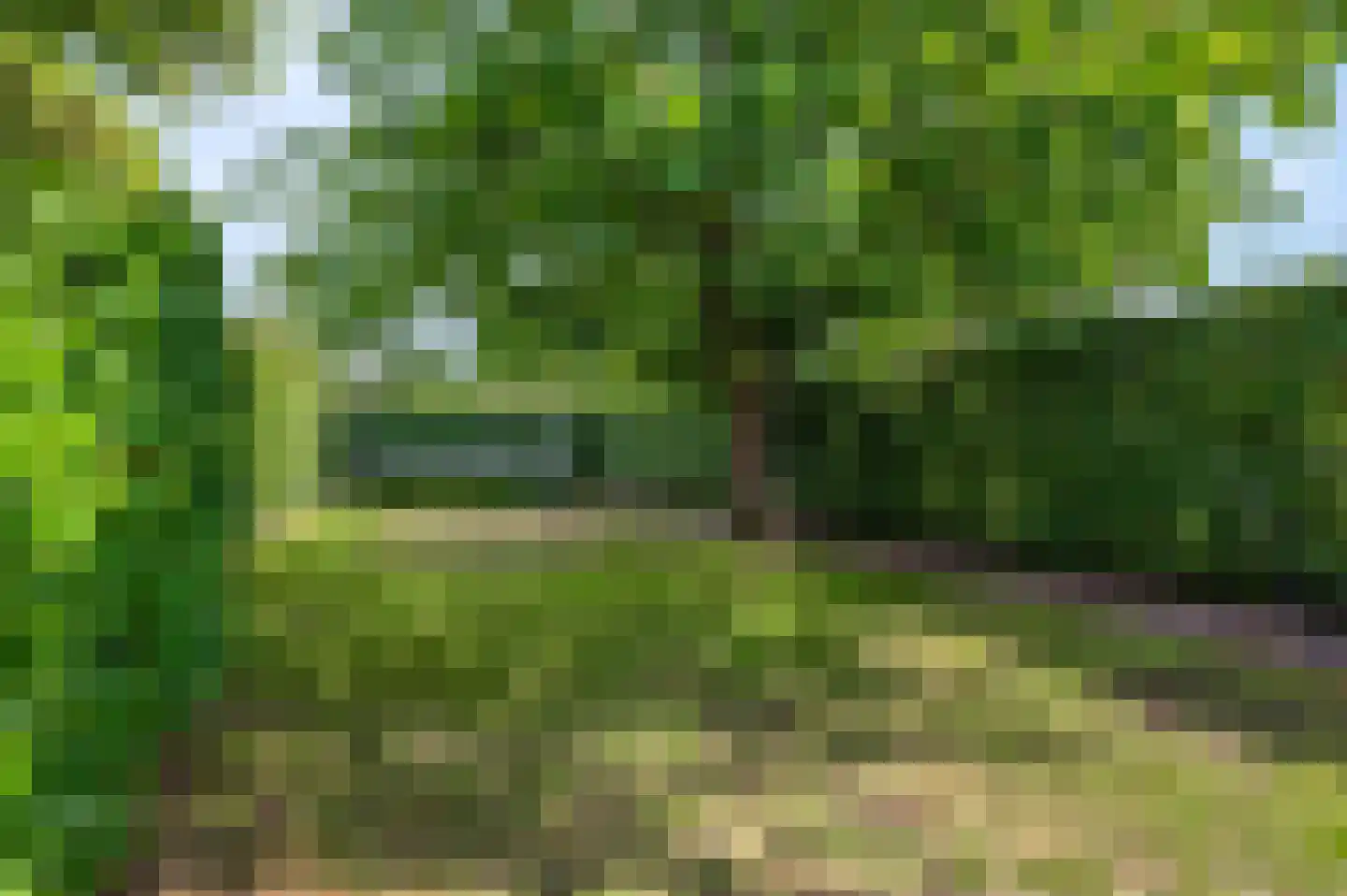 Rijksstraatweg 9 Elst Ut thumbnail 25