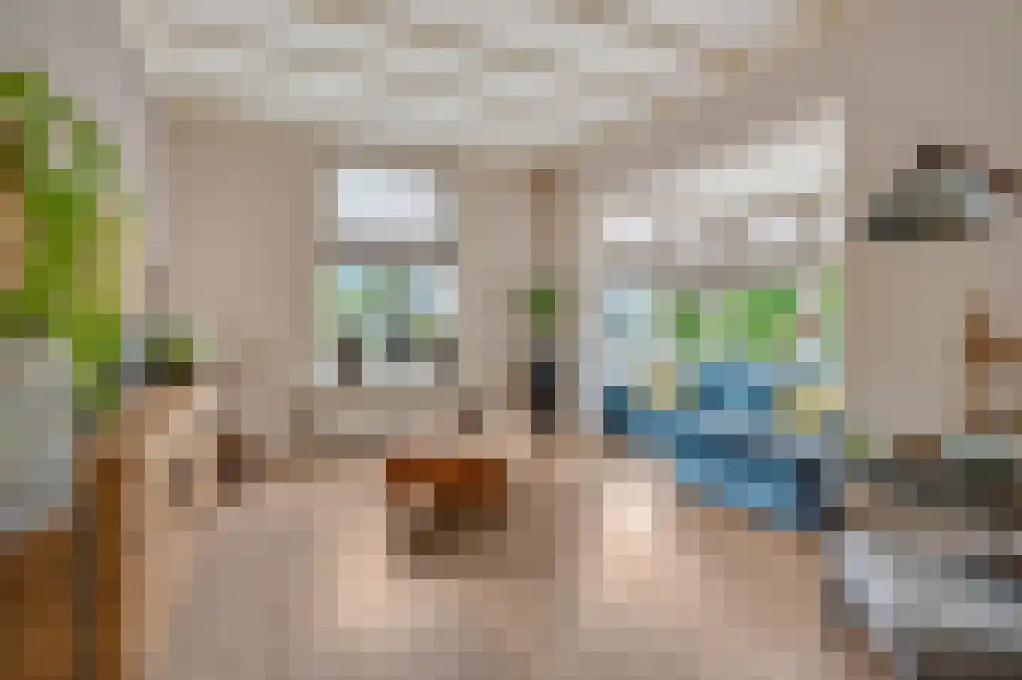 Rijksstraatweg 9 Elst Ut thumbnail 7