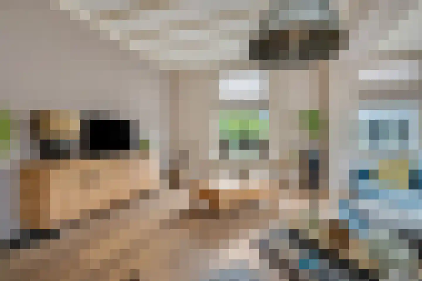 Rijksstraatweg 9 Elst Ut thumbnail 8