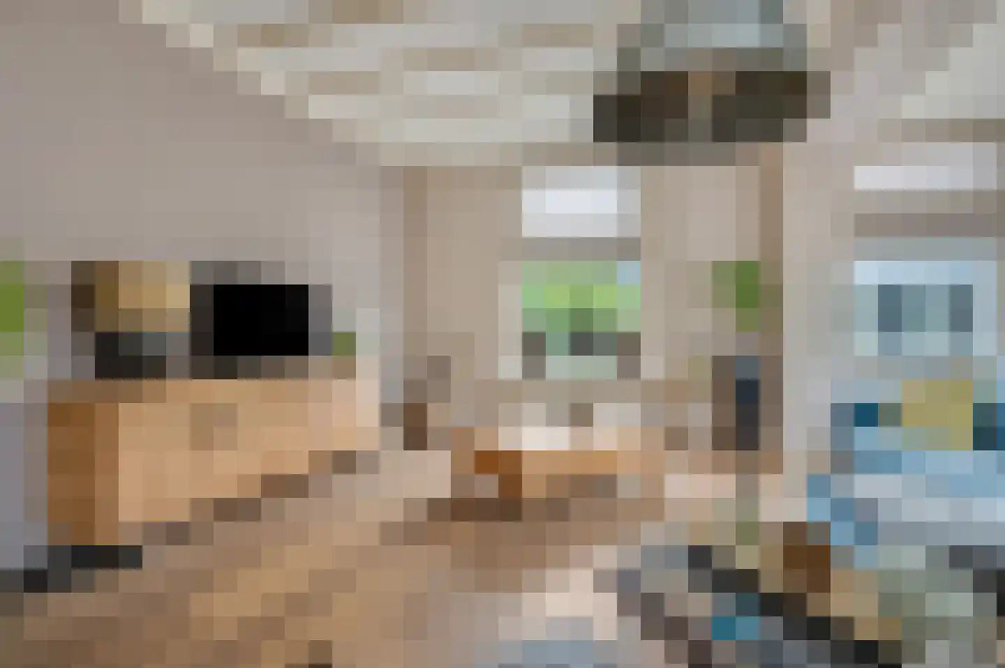 Rijksstraatweg 9 Elst Ut thumbnail 8