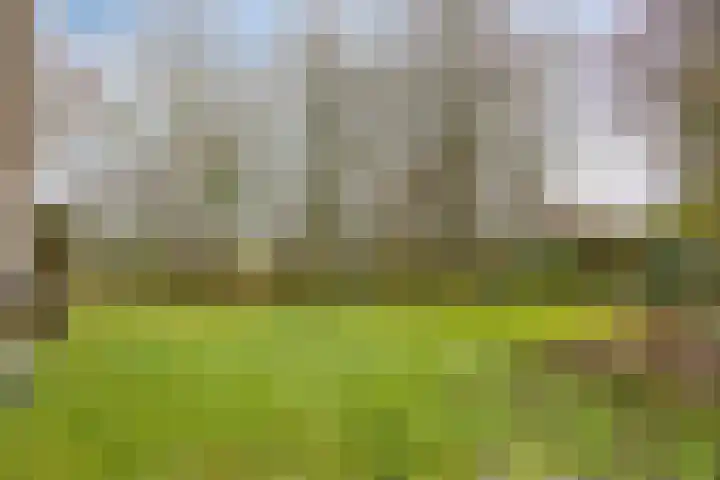 Rijksstraatweg 9 Schalsum thumbnail 31
