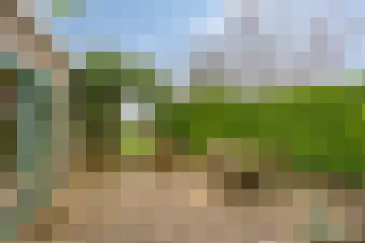 Rijksstraatweg 9 Schalsum thumbnail 33