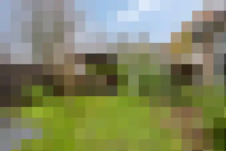 Rijksstraatweg 9 Schalsum thumbnail 37