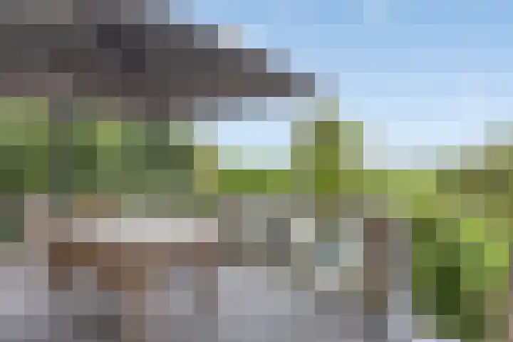 Rijksstraatweg 91 Beek thumbnail 15