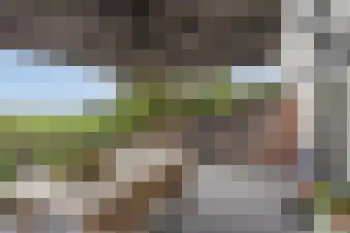 Rijksstraatweg 91 Beek thumbnail 16