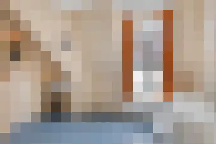 Rijksstraatweg 91 Beek thumbnail 37