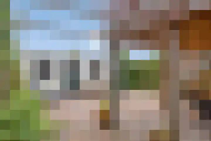Rijksstraatweg 91 Beek thumbnail 43