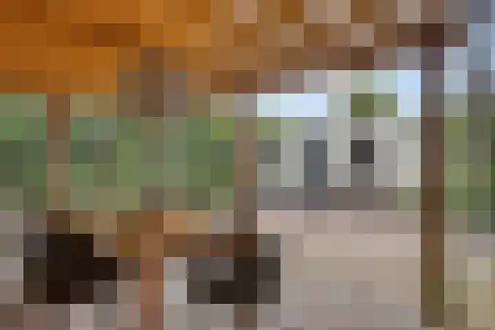 Rijksstraatweg 91 Beek thumbnail 47