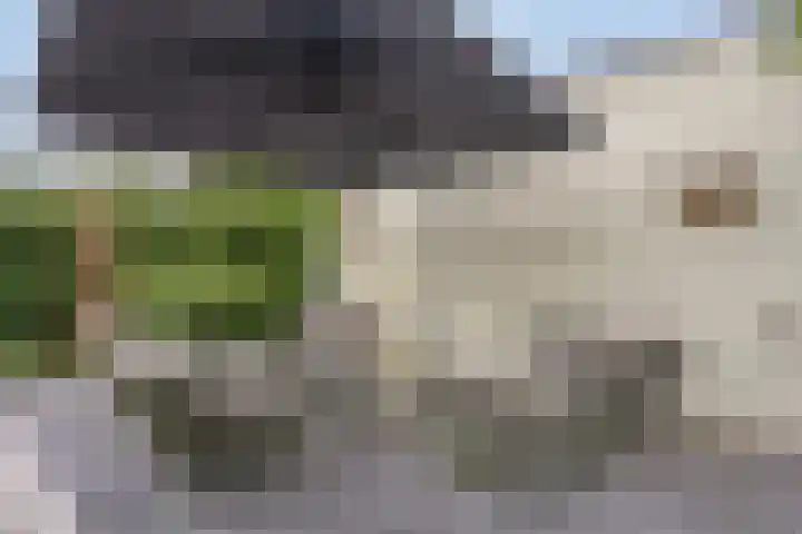 Rijksstraatweg 91 Beek thumbnail 51