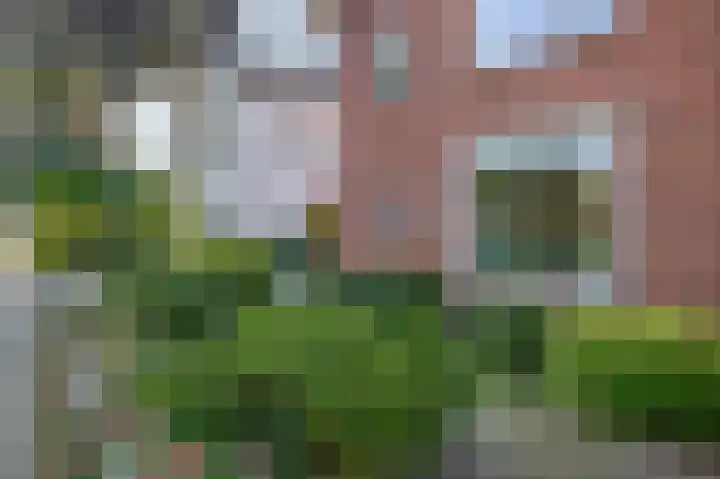 Rijksstraatweg 91 De Meern thumbnail 13