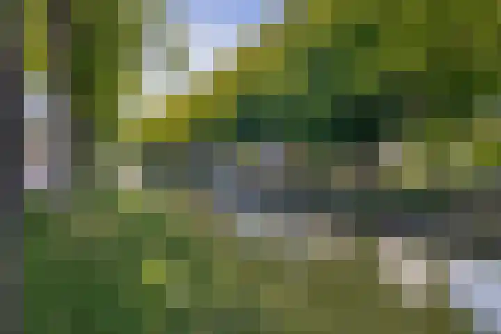 Rijksstraatweg 91 De Meern thumbnail 8