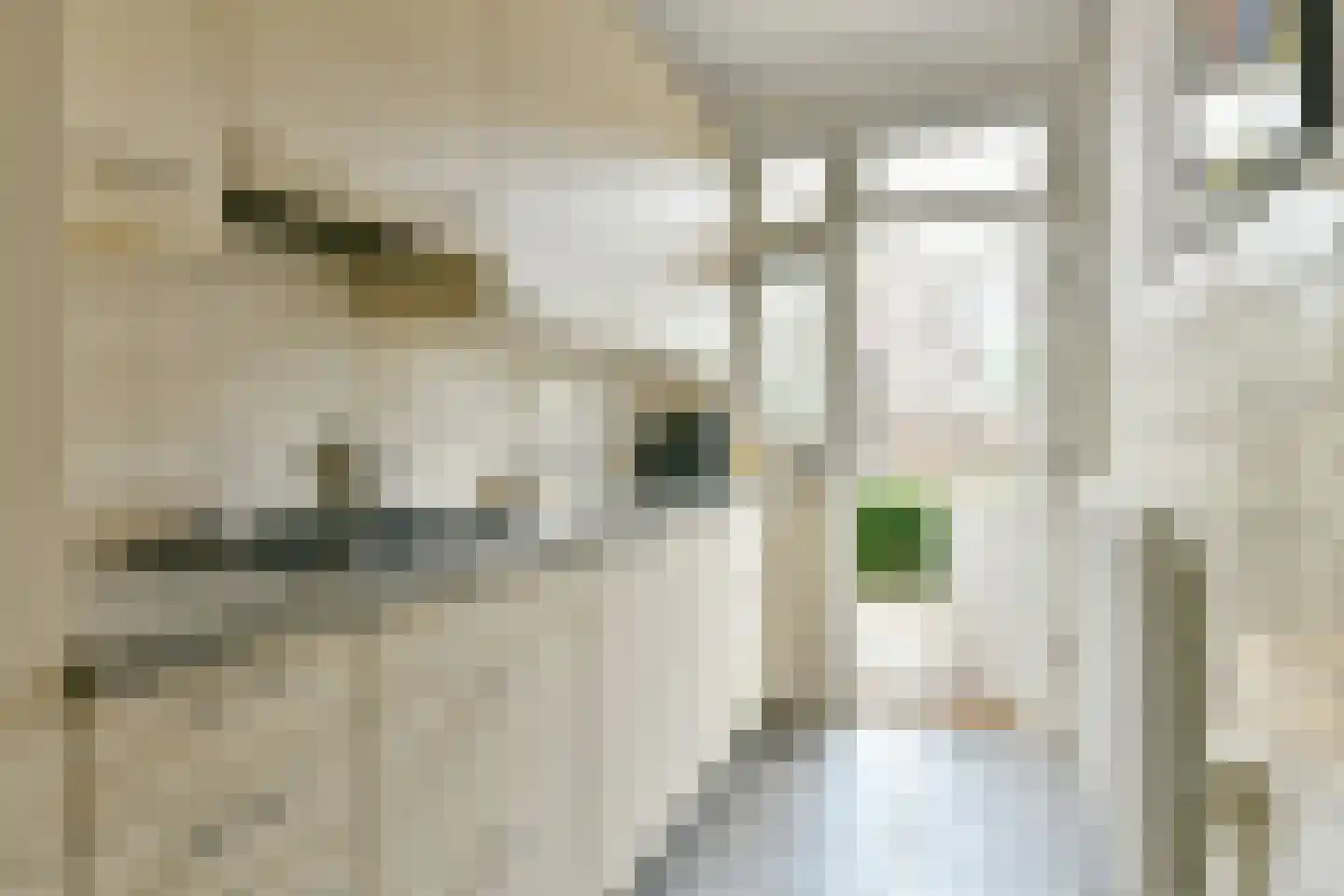 Rijksstraatweg 91 Duivendrecht thumbnail 5