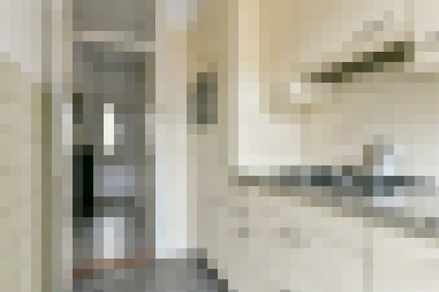 Rijksstraatweg 91 Duivendrecht thumbnail 6
