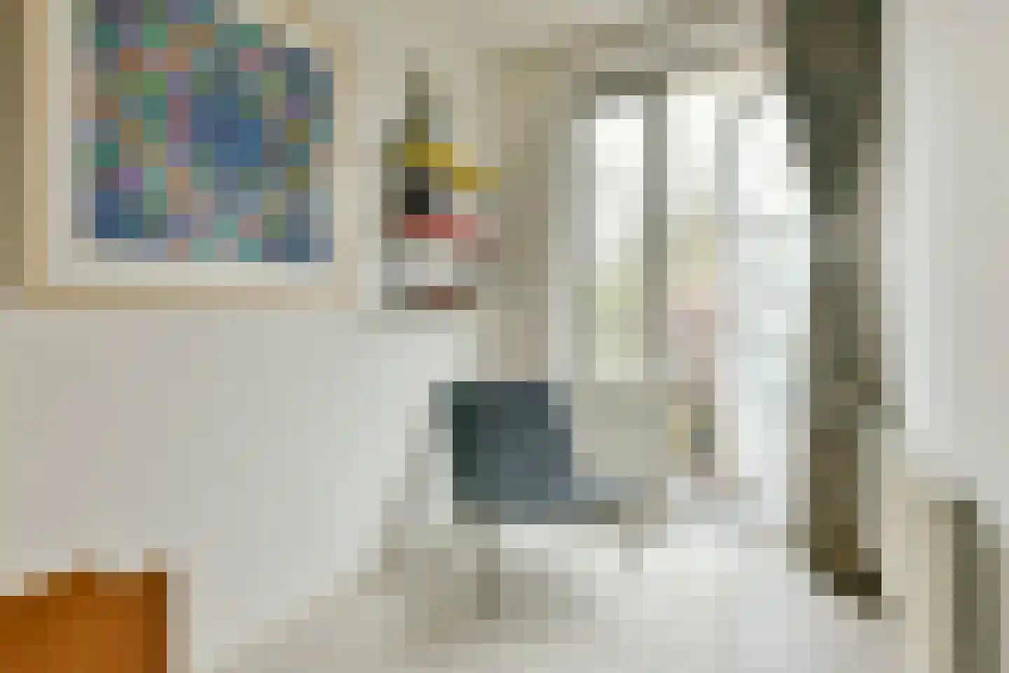 Rijksstraatweg 91 Duivendrecht thumbnail 9