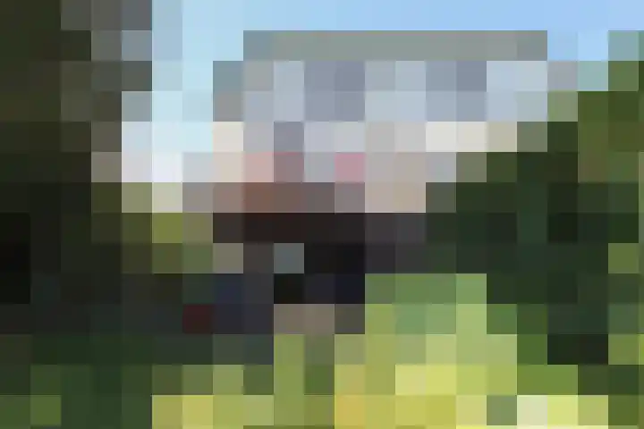 Rijksstraatweg 93 Beek thumbnail 42