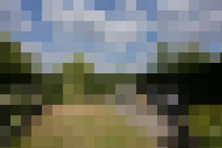 Rijksstraatweg 93 Beek thumbnail 45