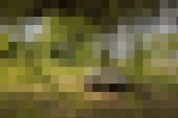 Rijksstraatweg 93 Beek thumbnail 47