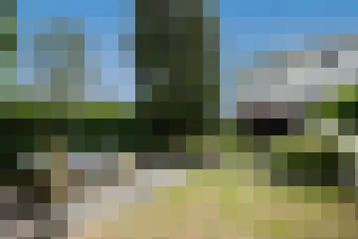 Rijksstraatweg 93 Beek thumbnail 49