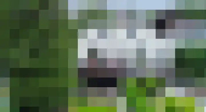 Rijksstraatweg 93 Beek thumbnail 50