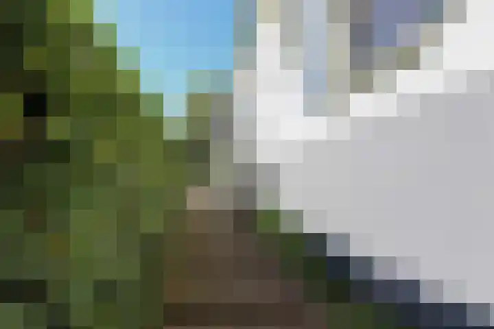 Rijksstraatweg 93 Beek thumbnail 52