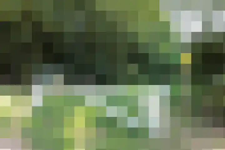Rijksstraatweg 93 Beek thumbnail 57