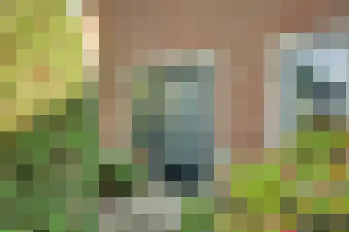 Rijksstraatweg 93 Sleeuwijk thumbnail 4