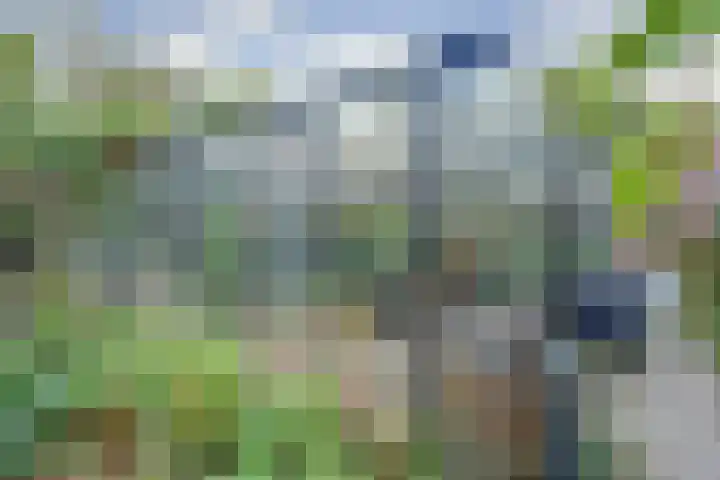 Rijksstraatweg 93 Sleeuwijk thumbnail 51