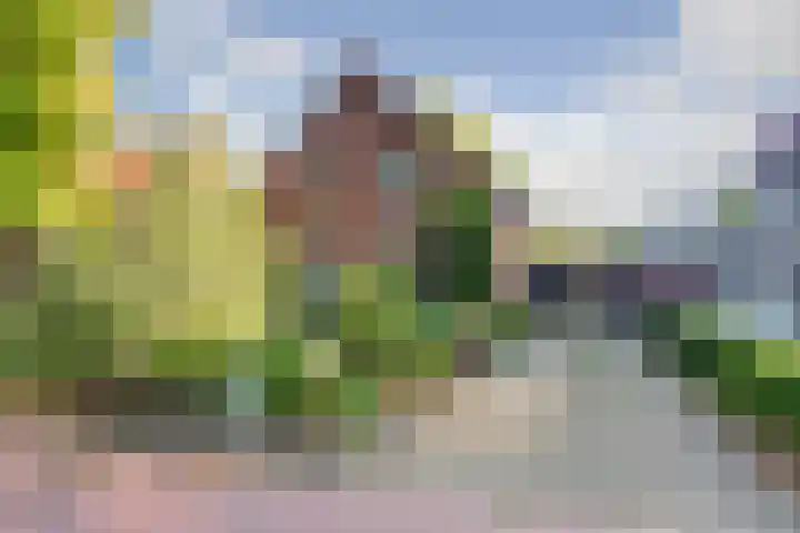 Rijksstraatweg 93 Sleeuwijk thumbnail 61