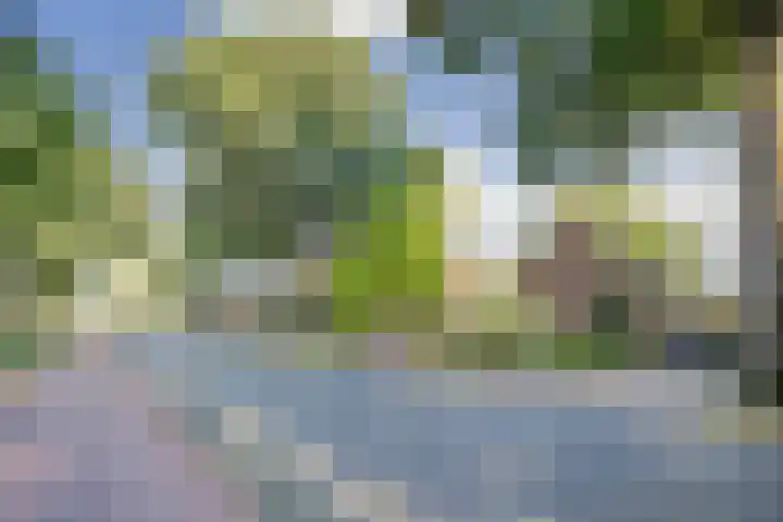 Rijksstraatweg 93 Sleeuwijk thumbnail 62
