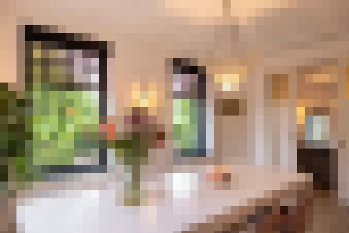 Rijksstraatweg 97 Baambrugge thumbnail 17