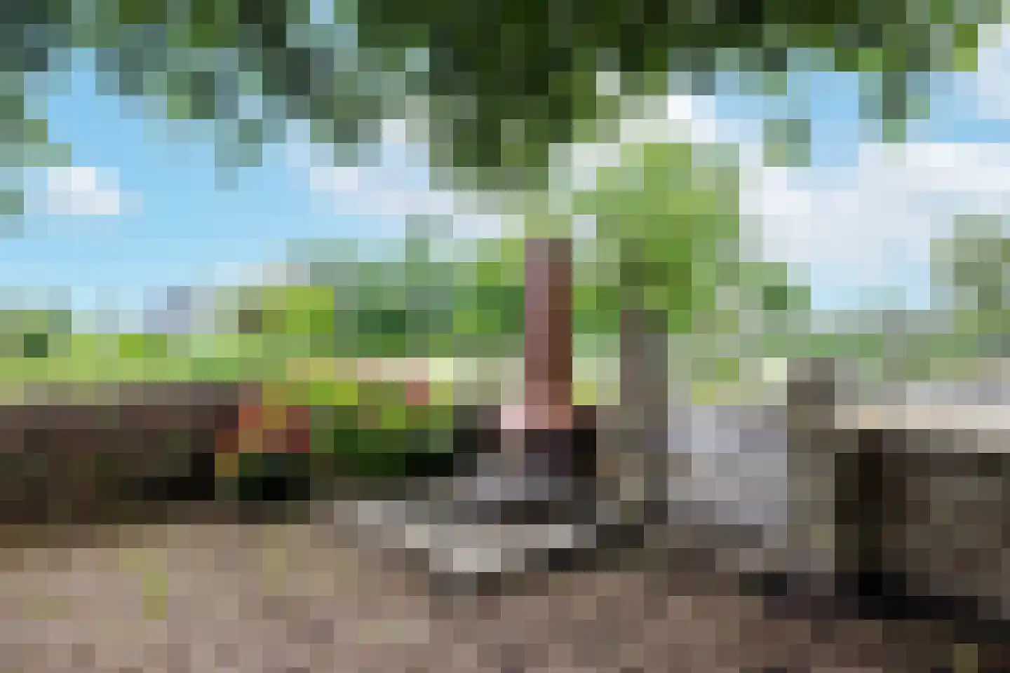 Rijksstraatweg 97 Baambrugge thumbnail 89