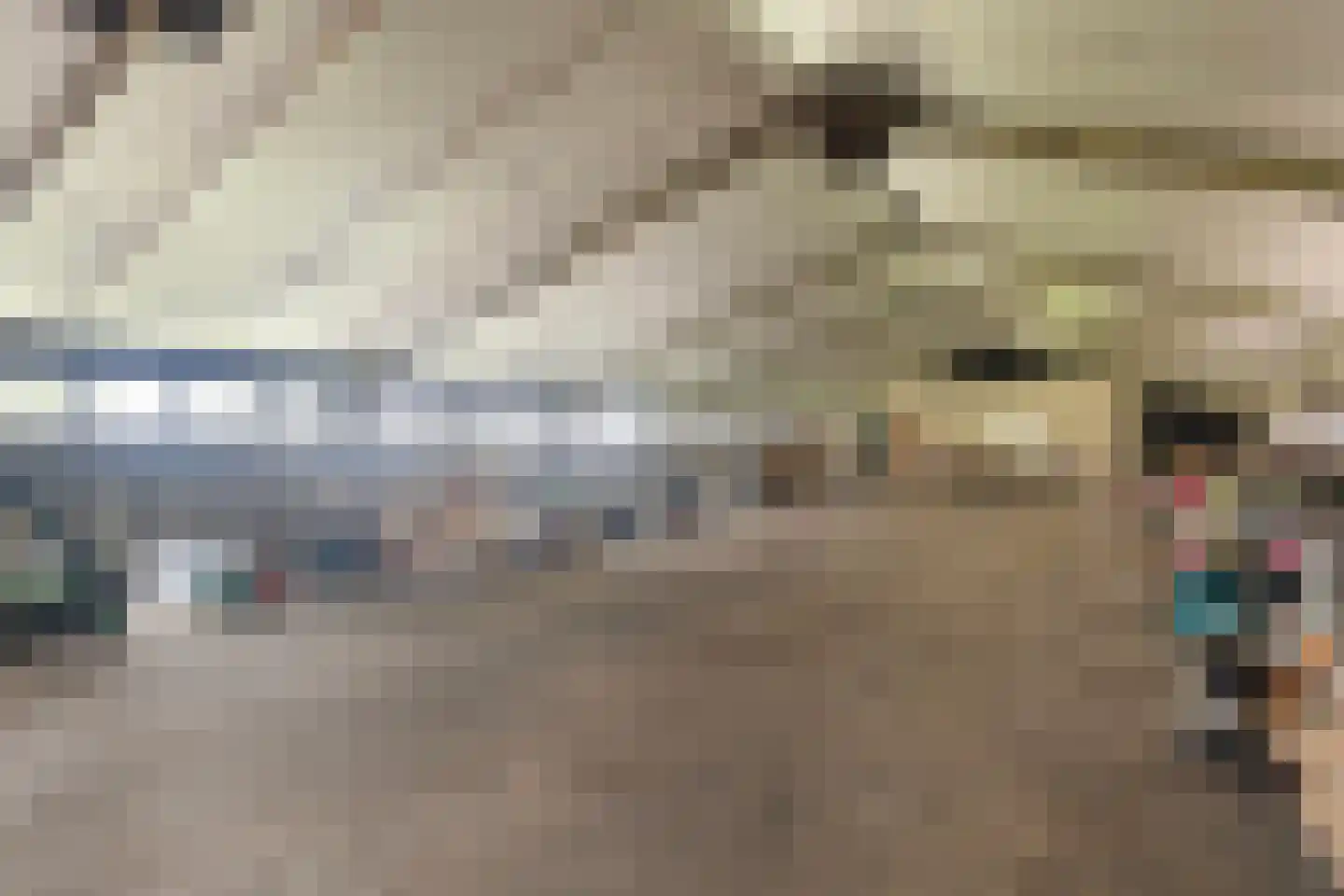 Rijksstraatweg 98 Hurdegaryp thumbnail 4