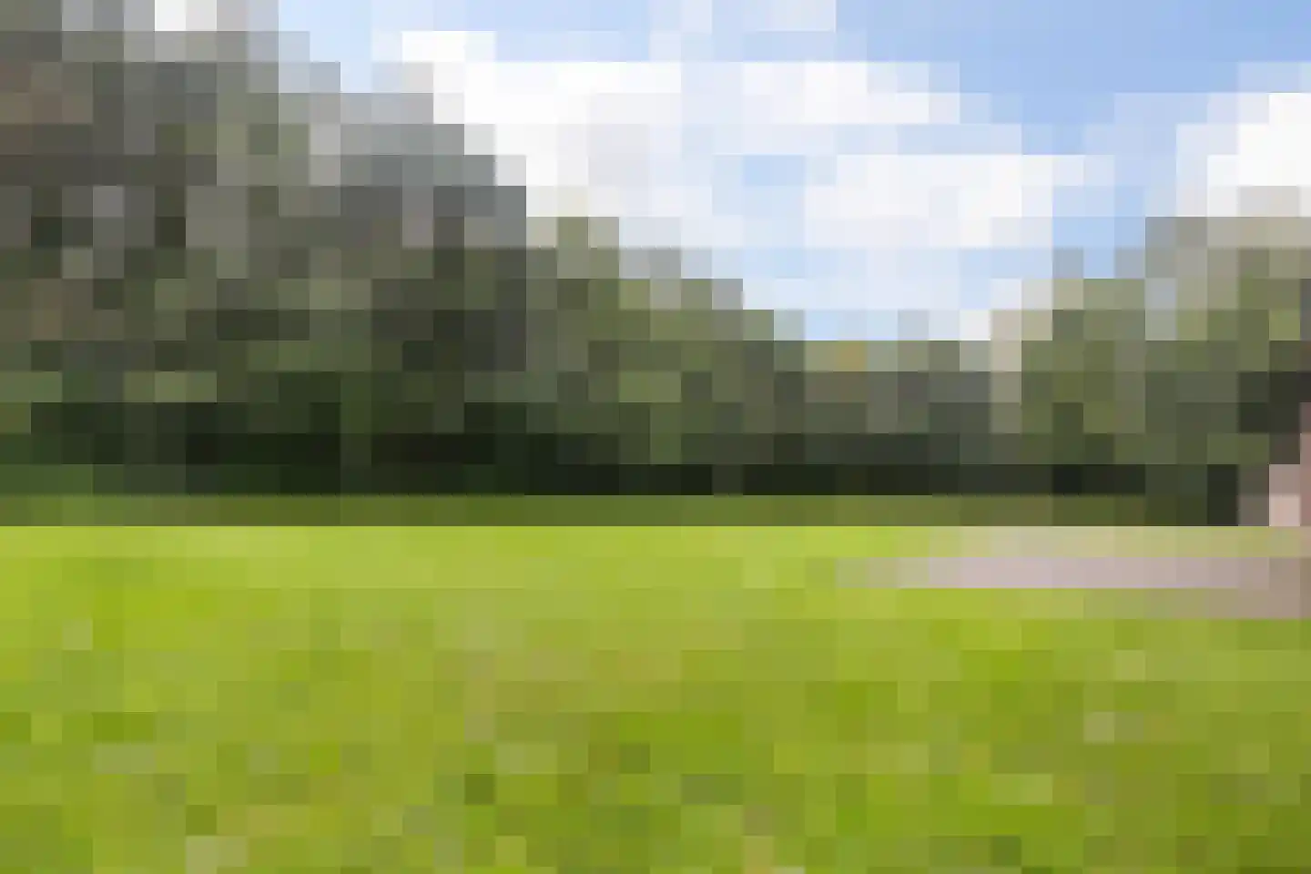 Rijksstraatweg 98 Hurdegaryp thumbnail 42