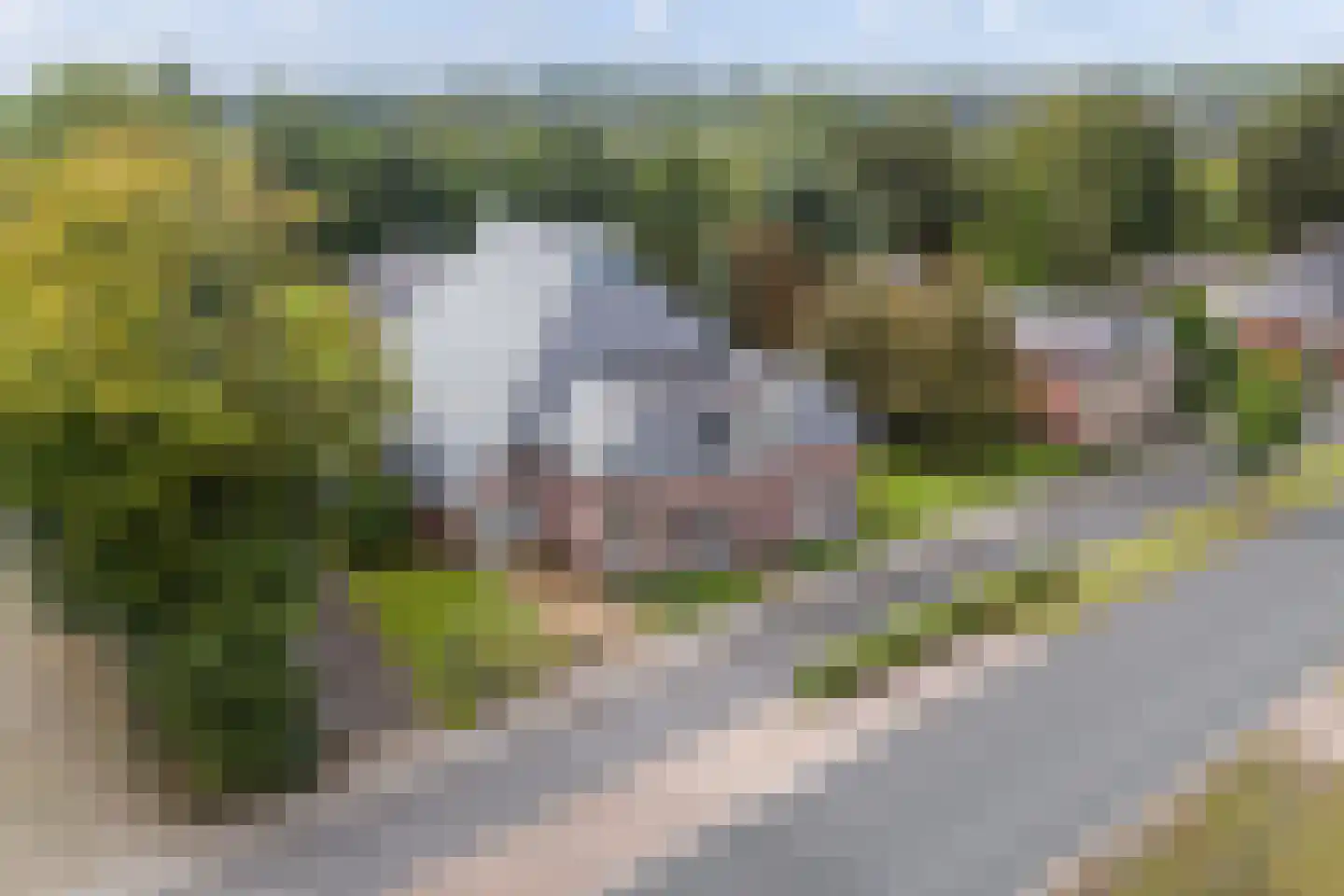 Rijksstraatweg 98 Hurdegaryp thumbnail 46