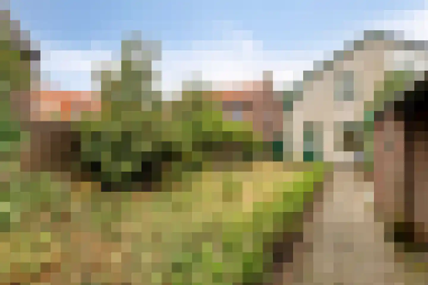 Rijksstraatweg 99 Elst Ut thumbnail 23