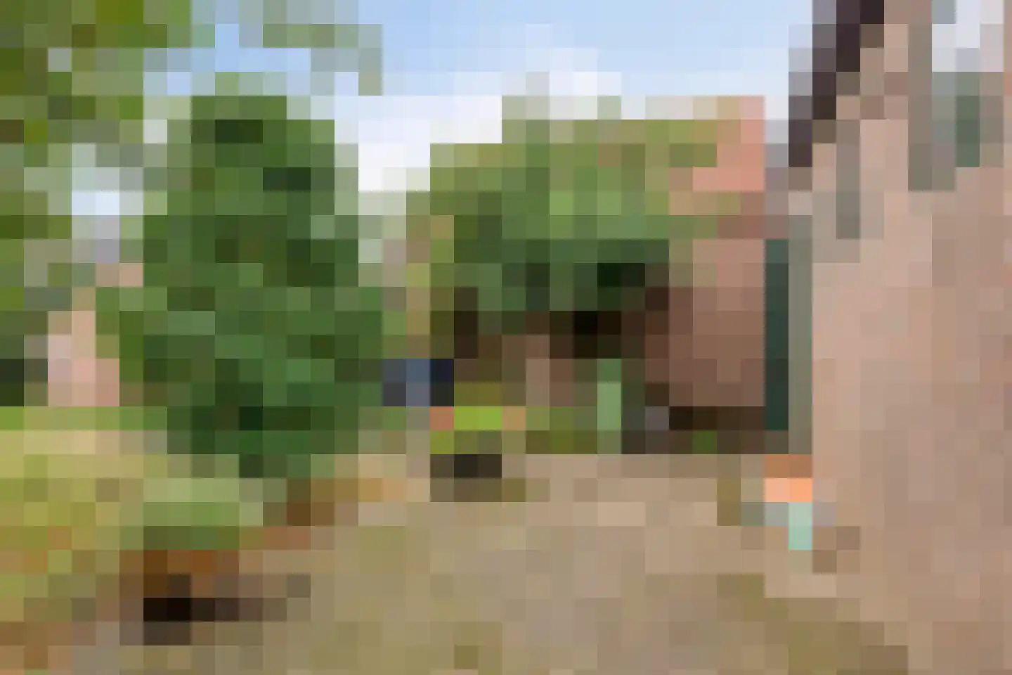 Rijksstraatweg 99 Elst Ut thumbnail 24
