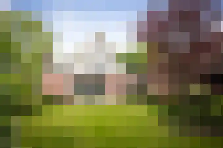 Rijksstraatweg 99 Twello thumbnail 33