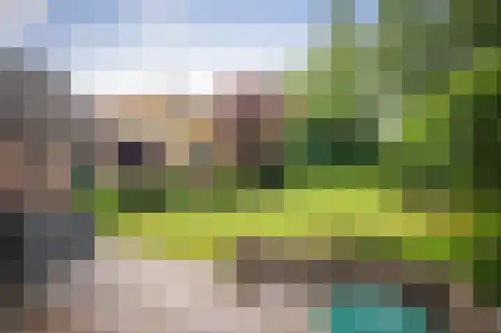 Rijksstraatweg 99 Twello thumbnail 34