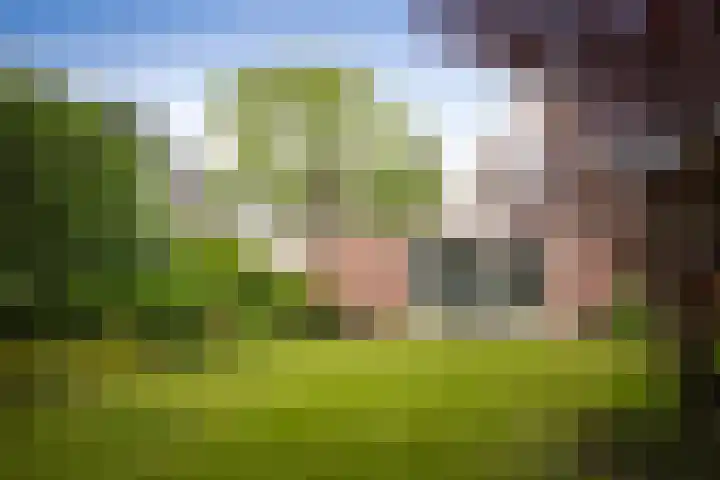 Rijksstraatweg 99 Twello thumbnail 37