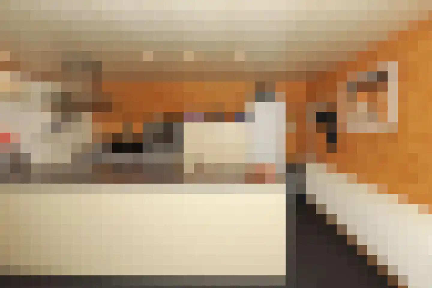 Rijksvluchthaven 24 Heijen thumbnail 21