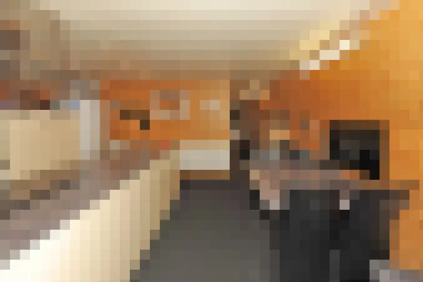 Rijksvluchthaven 24 Heijen thumbnail 23