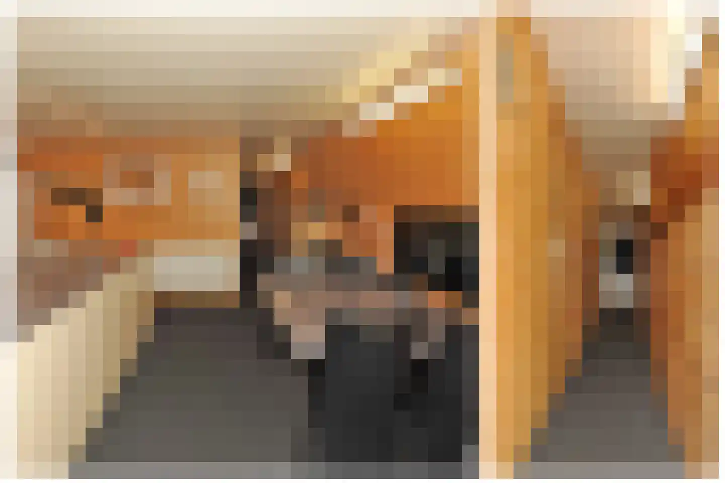 Rijksvluchthaven 24 Heijen thumbnail 24