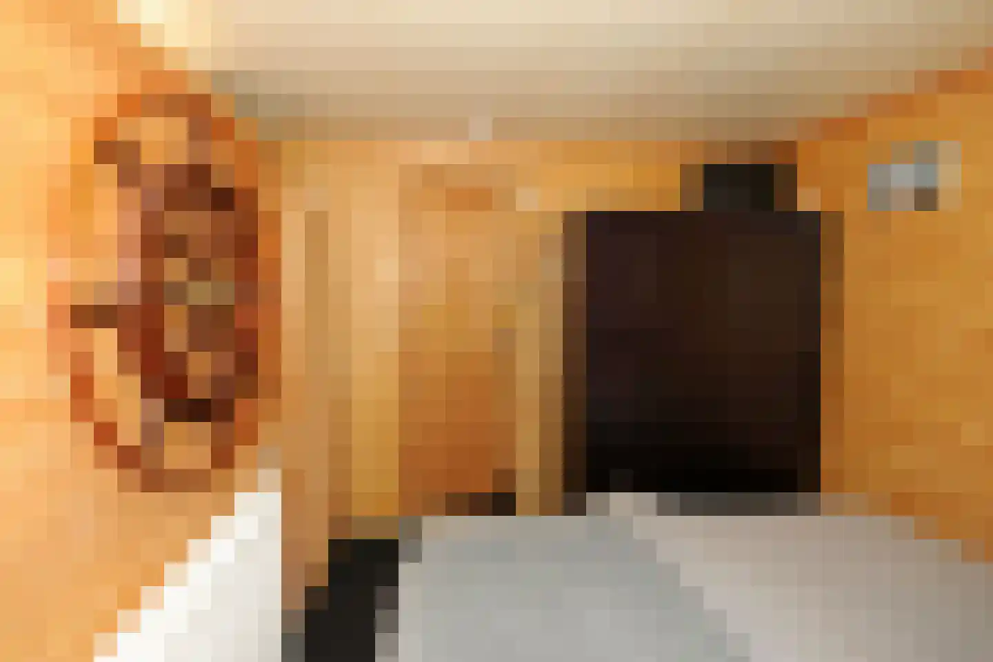 Rijksvluchthaven 24 Heijen thumbnail 25