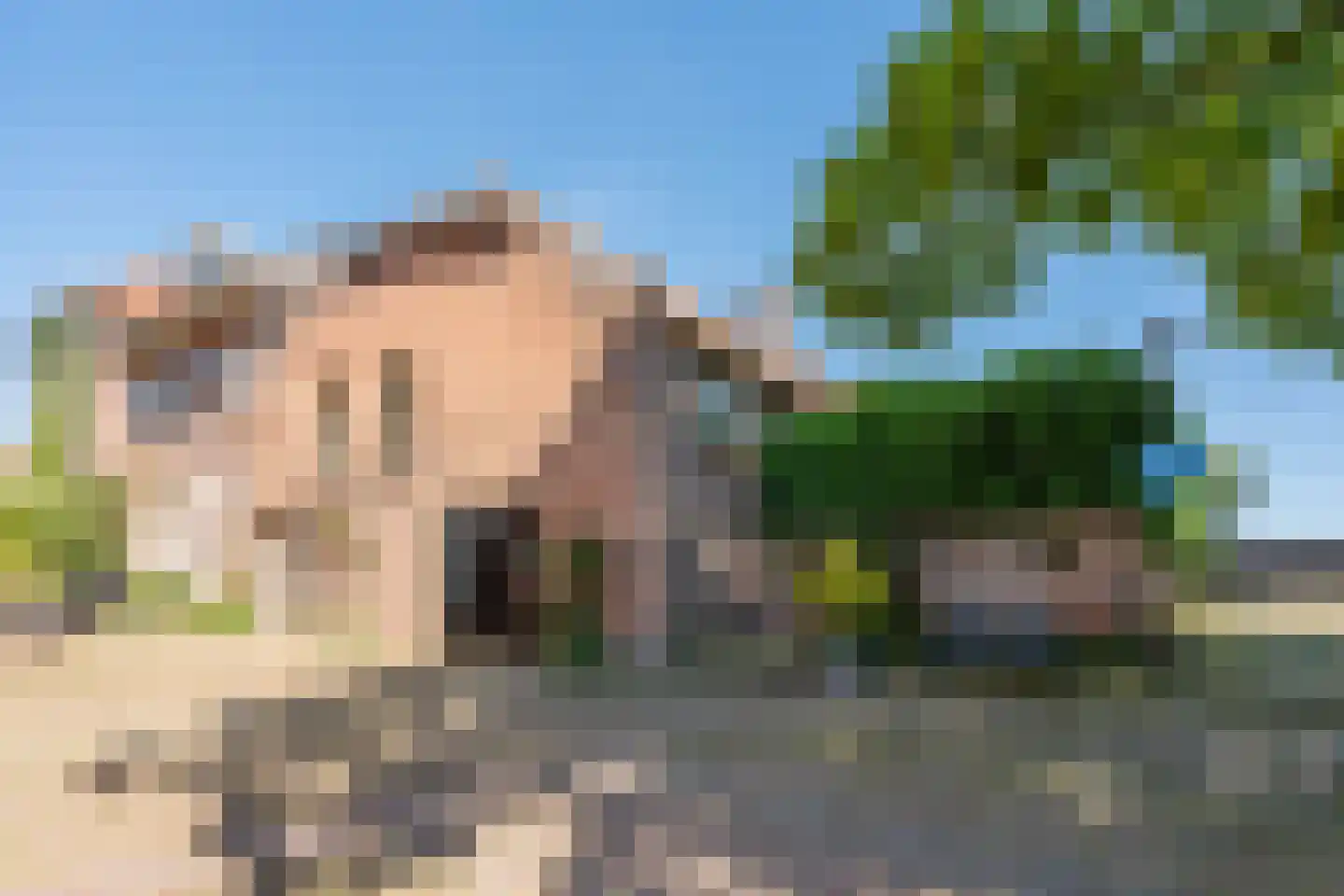 Rijkswal 32 Woudrichem thumbnail 17