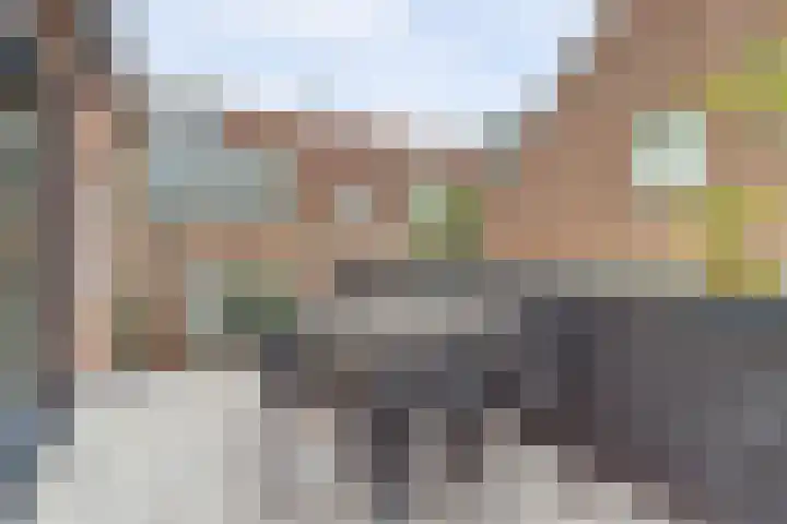 Rijkswal 52 Woudrichem thumbnail 14