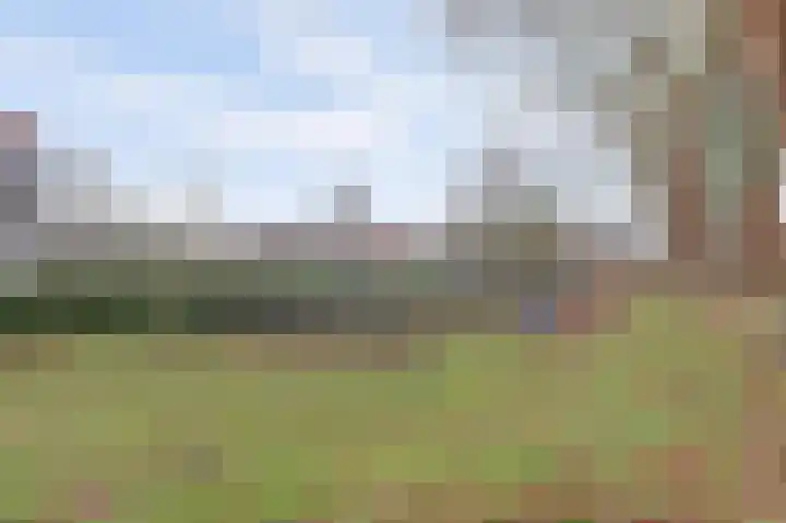 Rijkswal 52 Woudrichem thumbnail 55