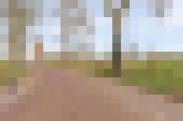 Rijkswal 52 Woudrichem thumbnail 58