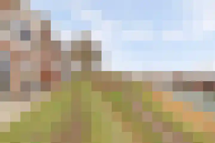 Rijkswal 52 Woudrichem thumbnail 6